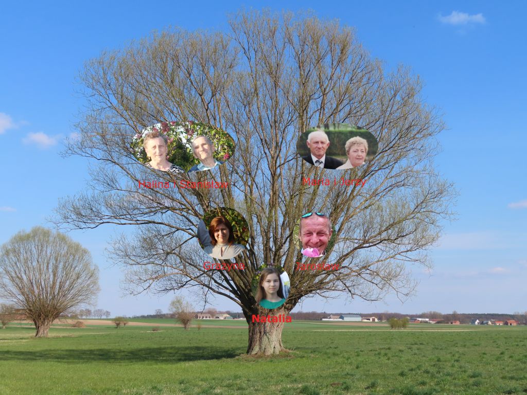 drzewo_genealogiczne_natalia.jpg