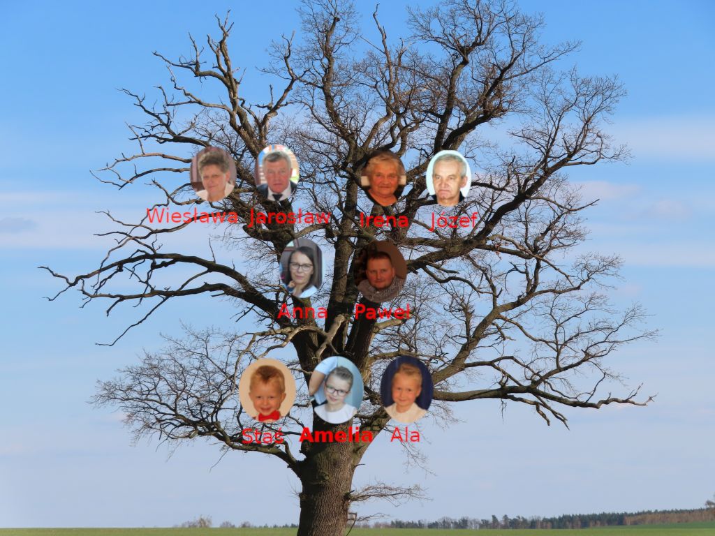 drzewo_genealogiczne_amelia.jpg
